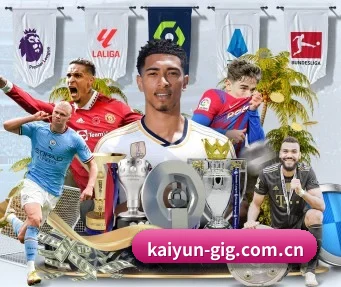 开云 APP(kaiyun)